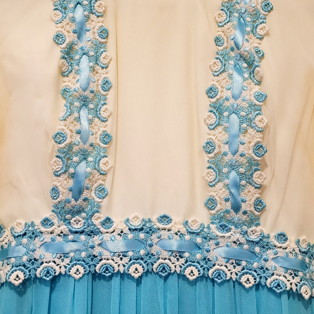 Vintage 1970s blue and ivory tulle embroidered floral maxi dress gown - Picture 10 of 14